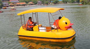 黃鴨電動船