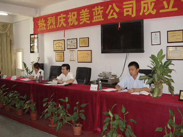 公司召開上半年工作總結匯報大會