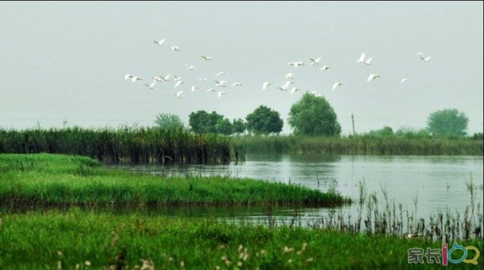 從專業攝影師角度看后官湖上的仿古畫舫船