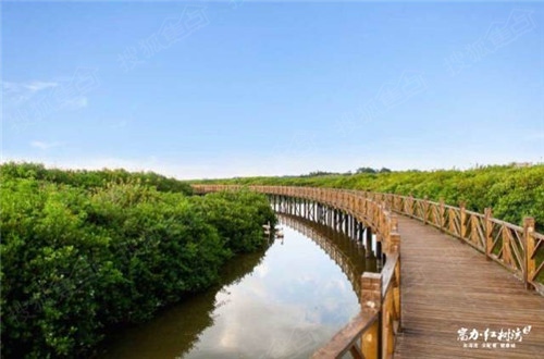 富力紅樹灣濕地公園盛大開放 美藍畫舫船受矚目