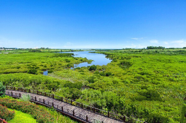 強強聯手 打造紅樹林濕地膳飲養生之樂