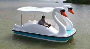 天鵝電動船